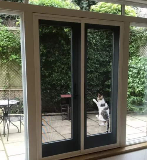 Pet Paw Resistant Flyscreens and Mesh