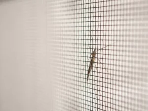 910mm x 30Metre Fly Screen Insect Black Fiberglass Window Doors Mesh| Hi Strength 128GSM | .28mm Thick - Image 7