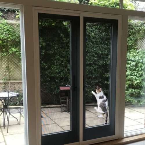 Pet-paw-proof-resistant-insect-flyscreen-mesh- cat-dog-enclosure-heavy dutydoor climbing cat-replacement