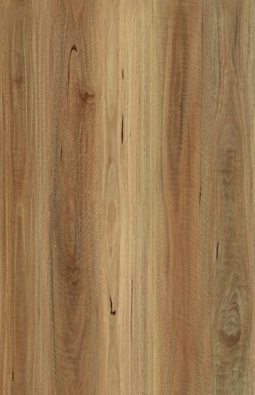 Tradebase-Spotted-Gum-7mm-spc-flooring Tradebase-Spotted-Gum-7mm-spc-flooring