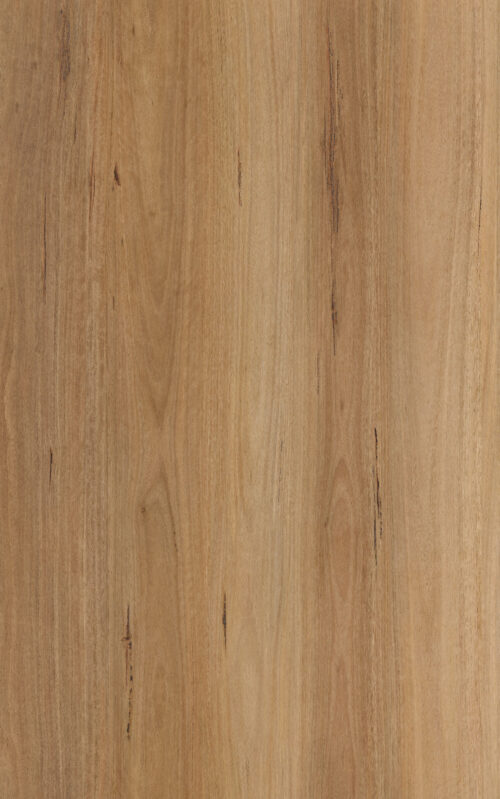 tradebase-7mm-spc-hybris-flooring-blackbutt tradebase-7mm-spc-hybris-flooring-blackbutt